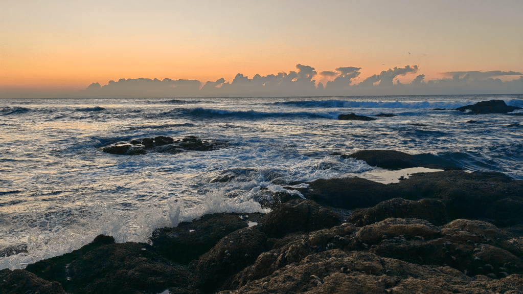 Chapter 1: About me, I&nbsp;guess